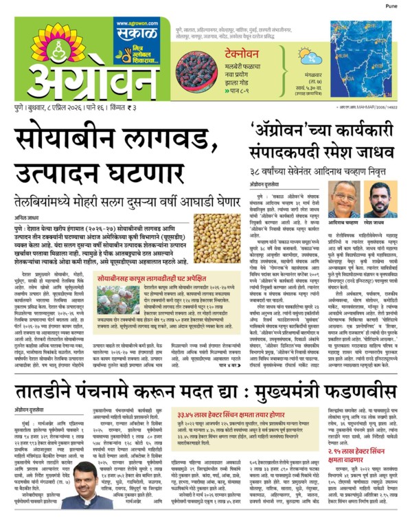 E-Paper Page