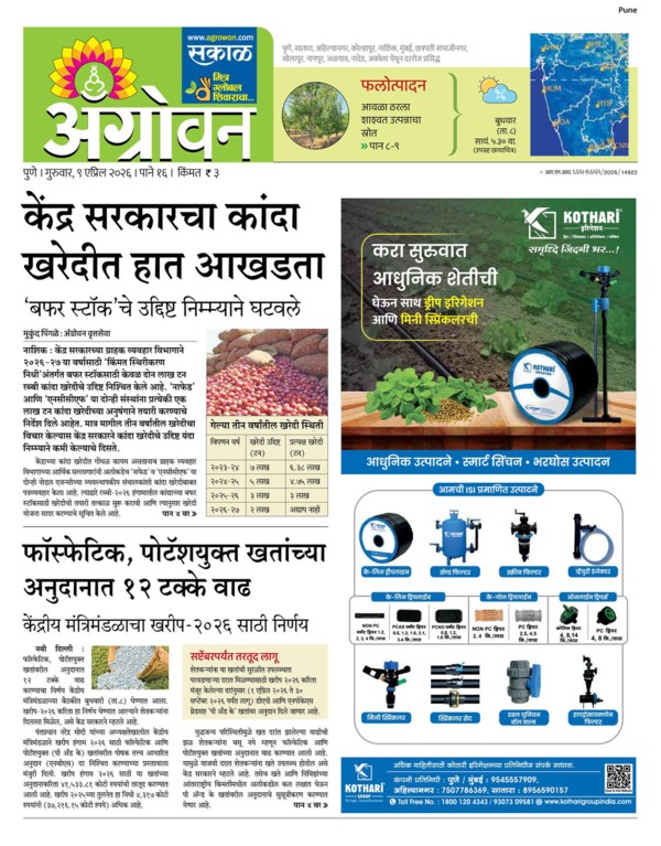 E-Paper Page