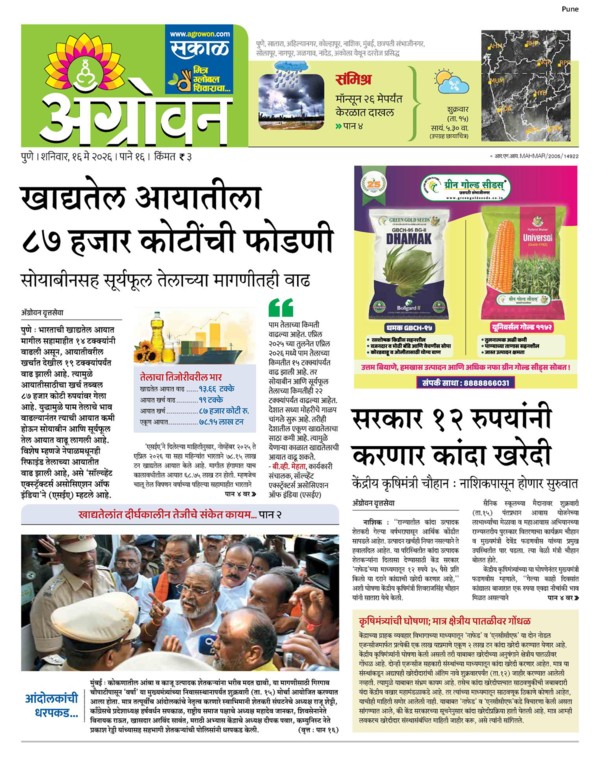 E-Paper Page