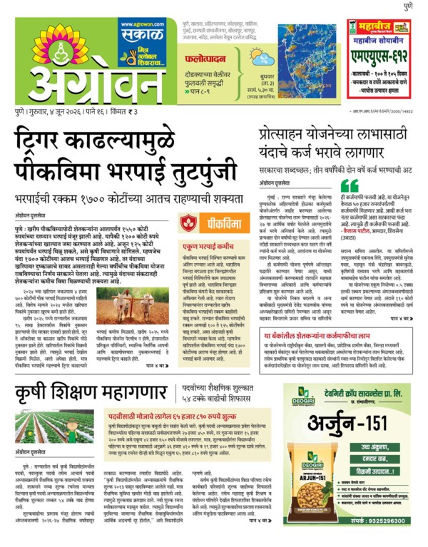 E-Paper Page