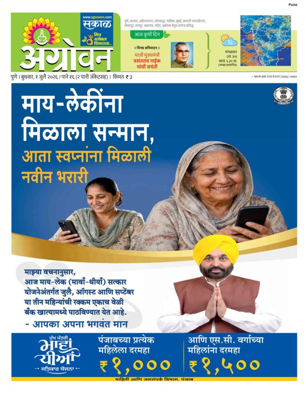 E-Paper Page