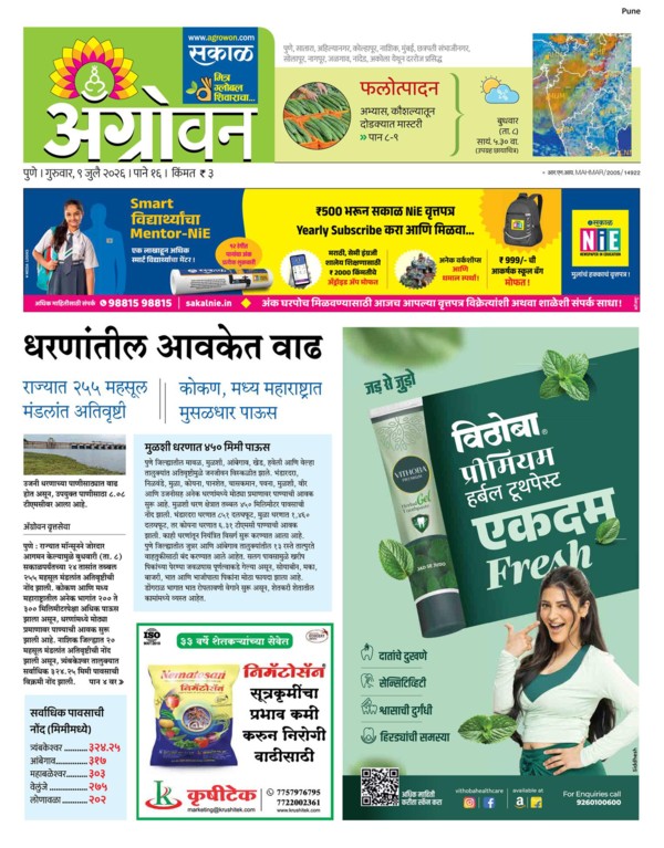 E-Paper Page