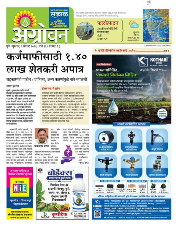 E-Paper Page