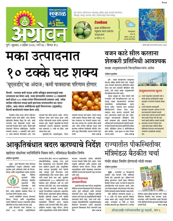 E-Paper Page