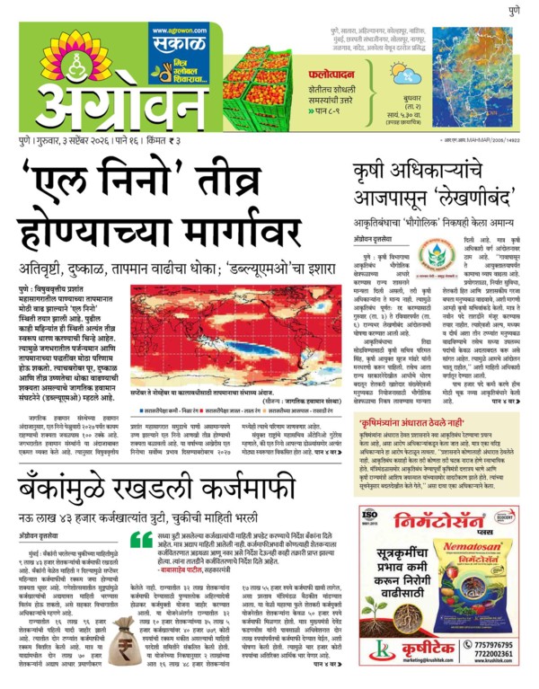 E-Paper Page