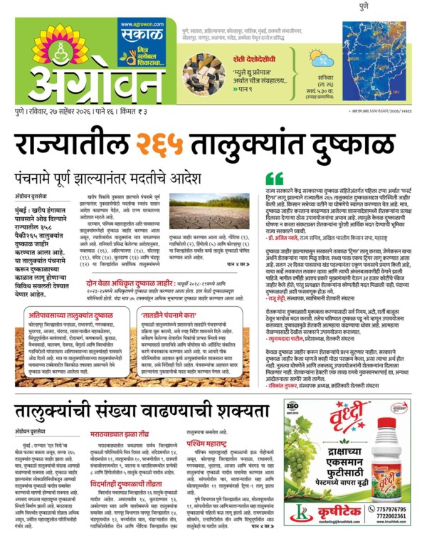 E-Paper Page