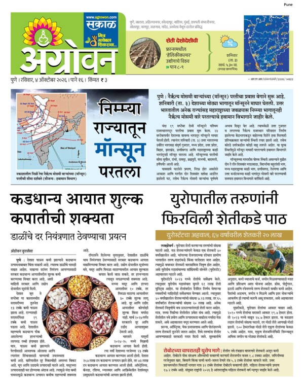 E-Paper Page