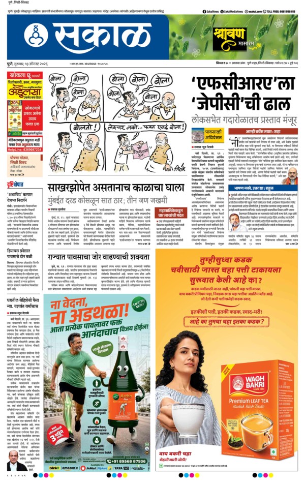 E-Paper Page