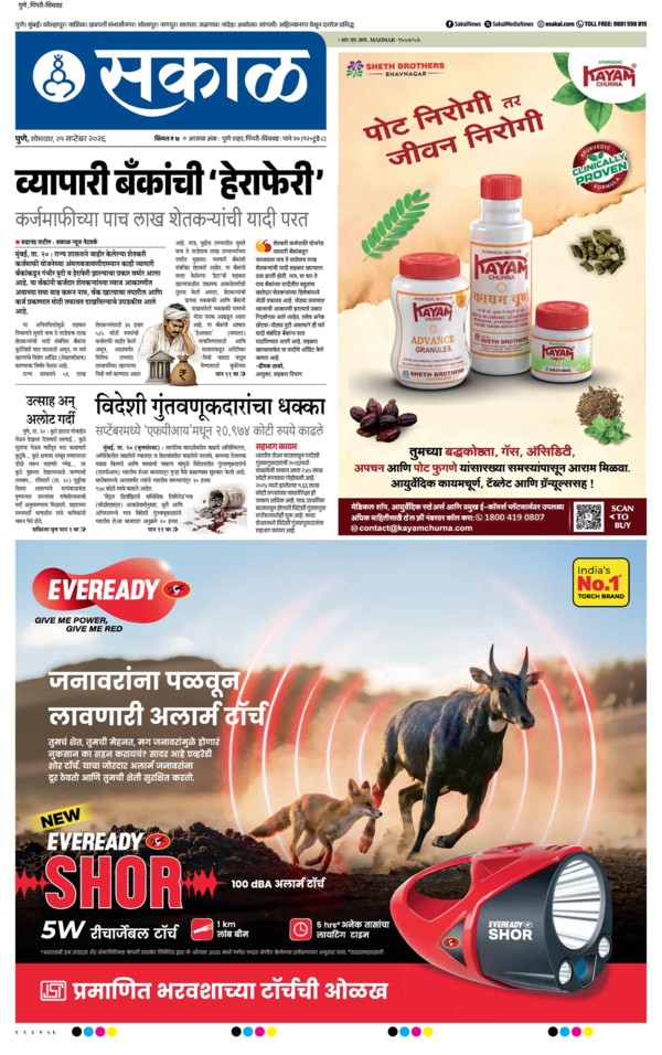 E-Paper Page