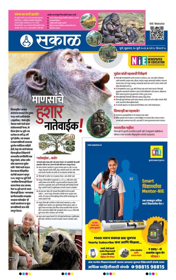 E-Paper Page