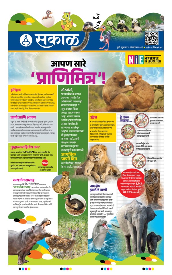 E-Paper Page