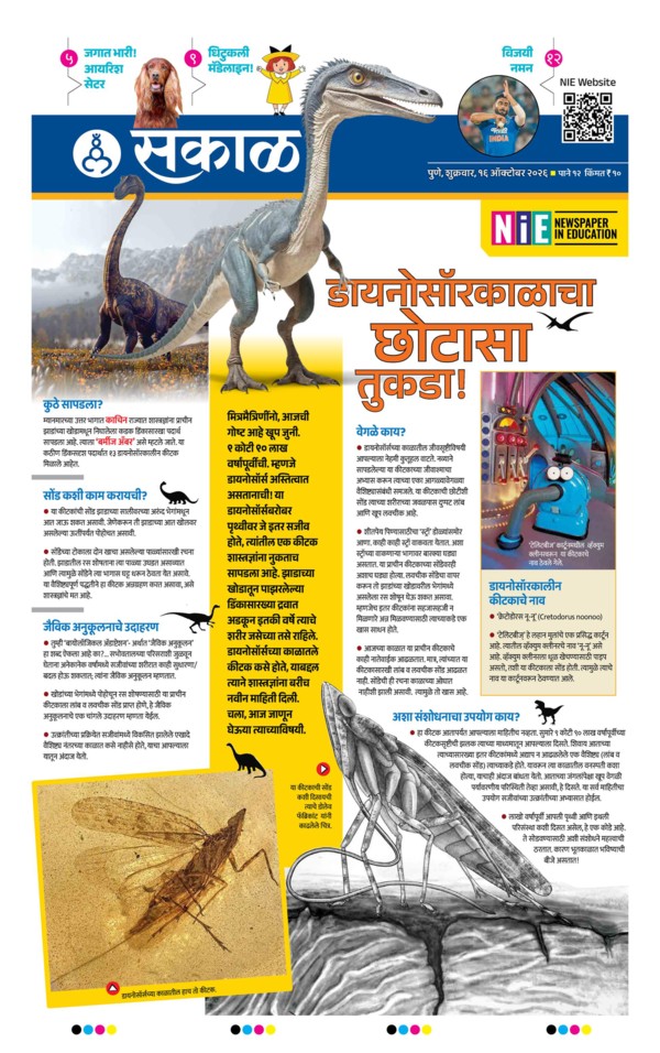 E-Paper Page