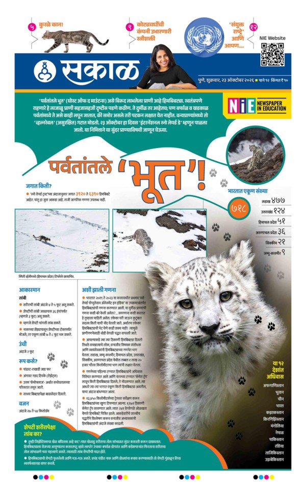 E-Paper Page